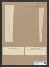 Thalassiothrix frauenfeldii Grun. (de-Toni-Nr.: Genus 67, Species 2669) Zeichnungen Sammlung Grunow Nr. 5444 (NHMW-BOT-W0373859)